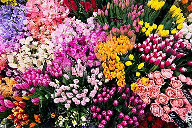 《Sky光·遇》公布缅怀季预告 1月16日正式上线